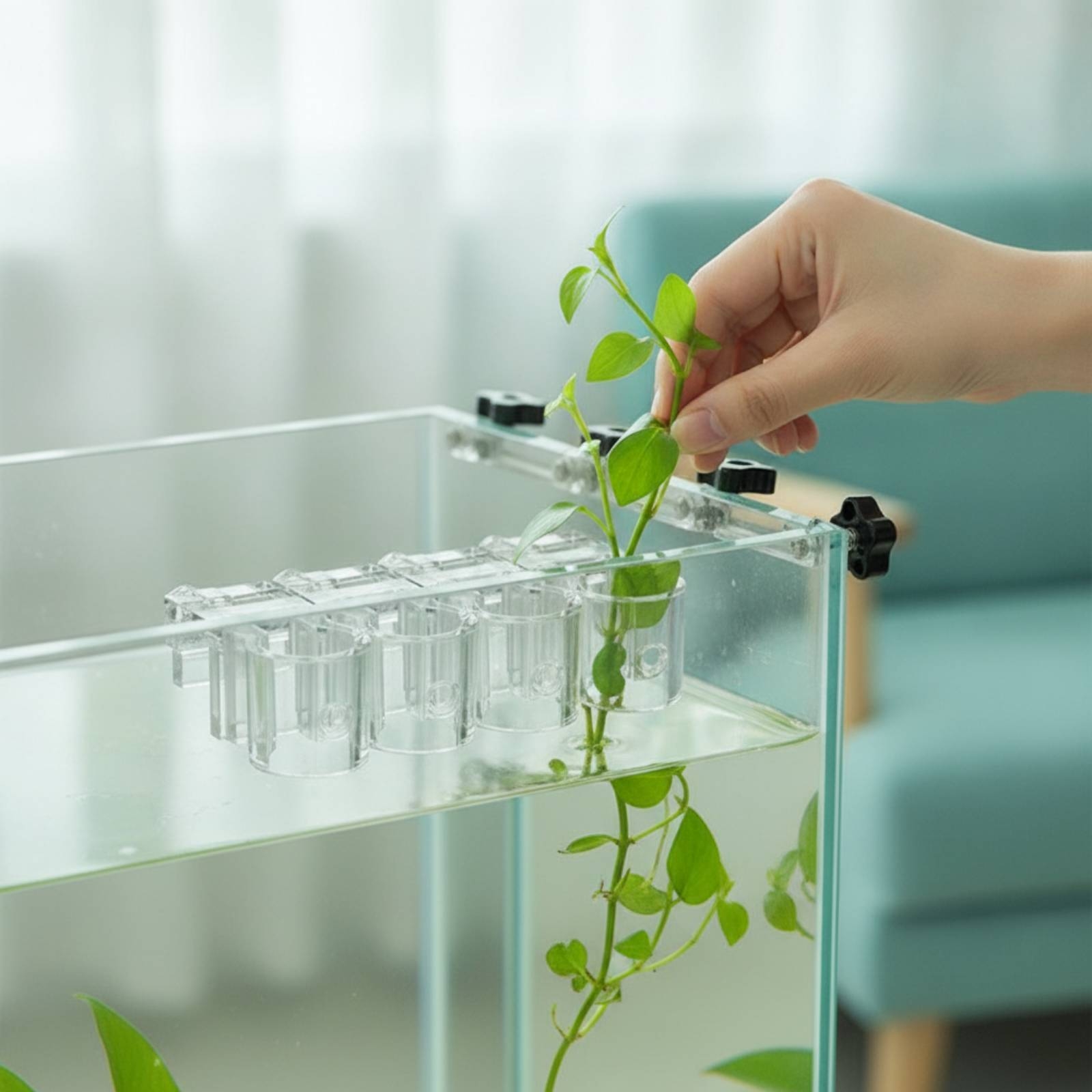 Aquarium Planted - Набор из 6 прозрачных гидропонных держателей