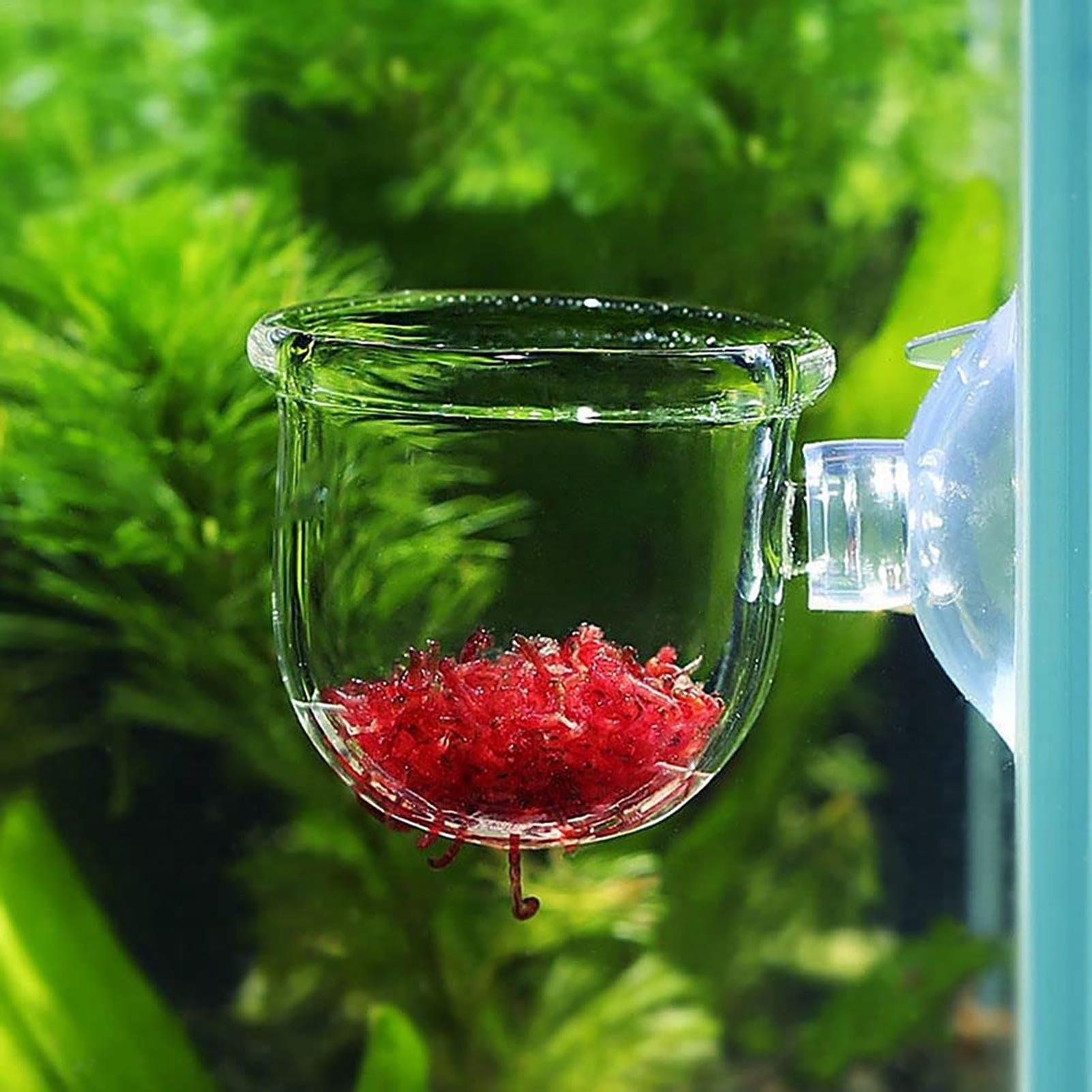 Aquarium Planted Seeds - Горшок для аквариумных растений, стеклянный цилиндр,