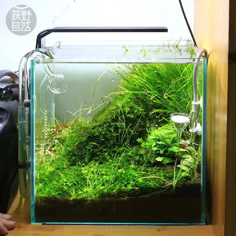 Planted Aquarium Ada - Chihiros C серии ADA стиль для