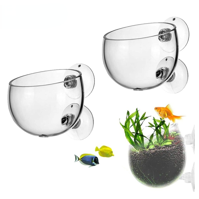 Aquarium Planted Seeds - Новый горшок для аквариумных растений, стеклянный
