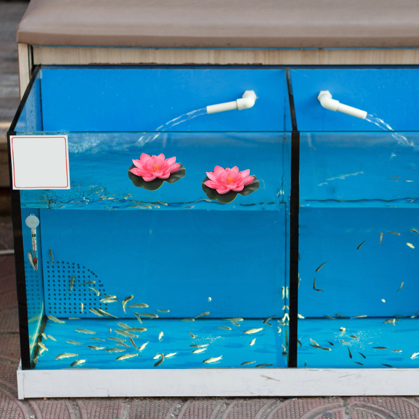 12 шт. искусственных плавающих – обзор и цена Aquarium Planted