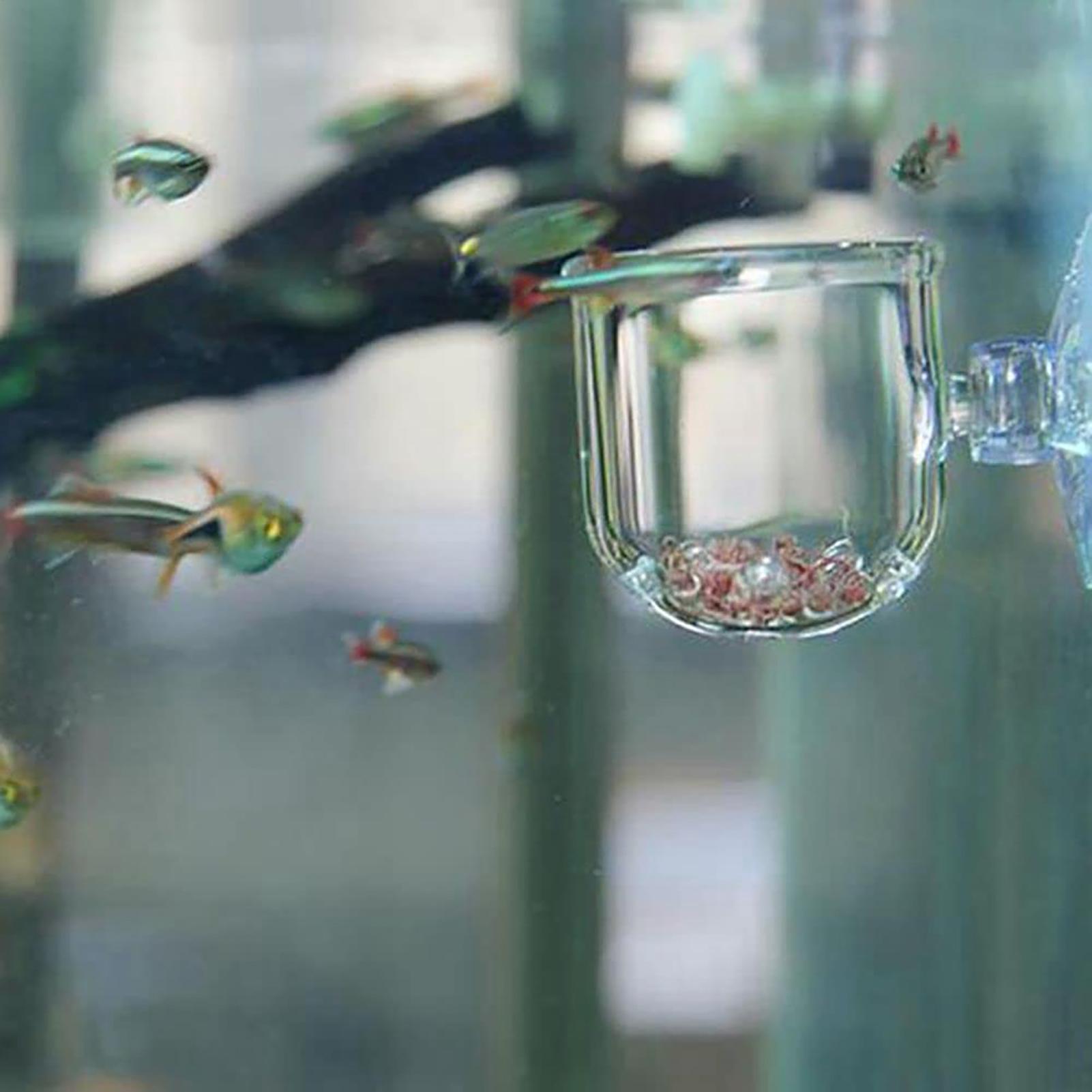 Горшок для аквариумных растени – обзор и цена Aquarium Planted Seeds