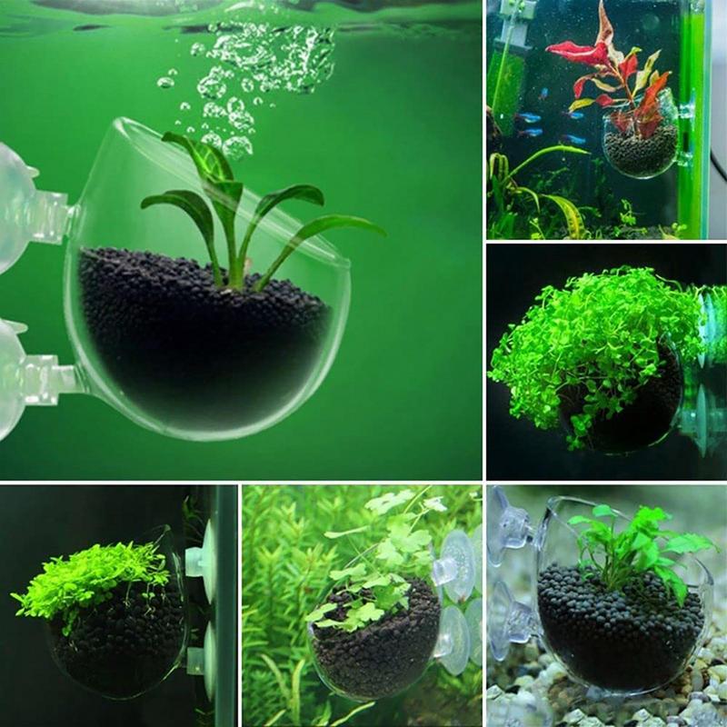Горшок для аквариумных растени – обзор и цена Aquarium Planted Seeds