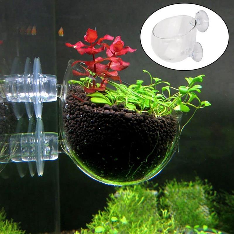 Горшок для аквариумных растени – обзор и цена Aquarium Planted Seeds