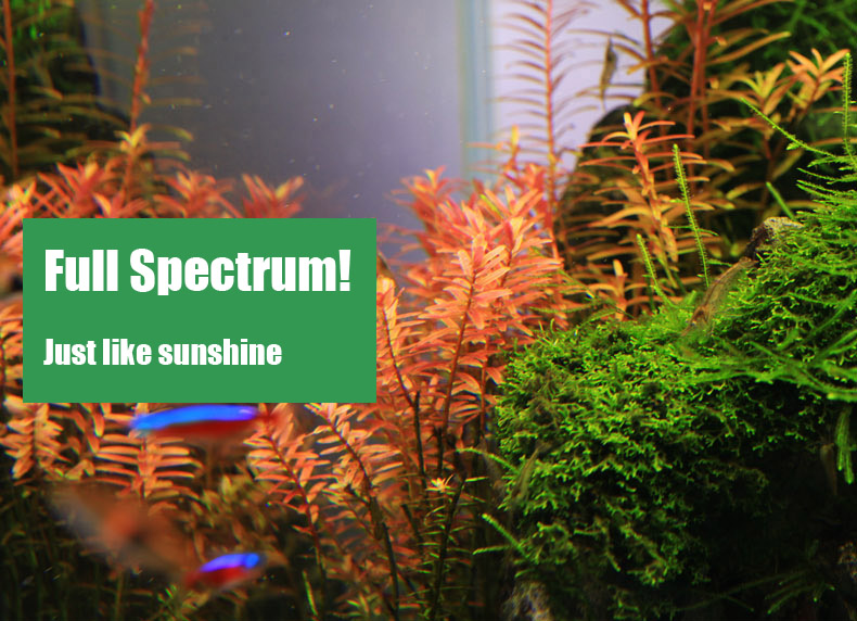 Chihiros C Серия стиль ADA Све – обзор и цена Planted Aquarium Ada