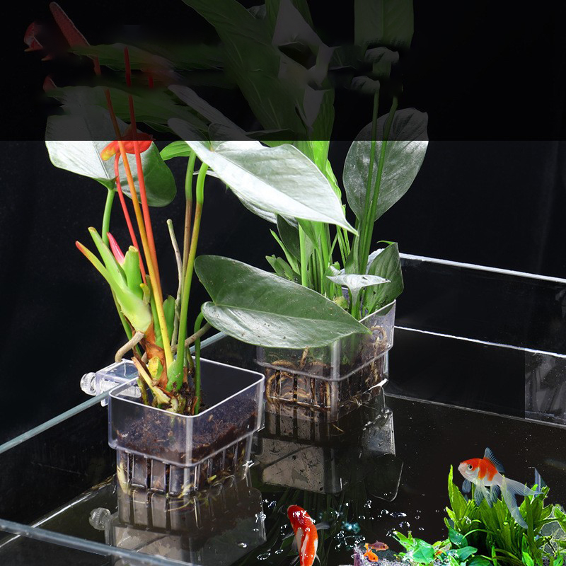 1 шт., корзина для аквариумных – обзор и цена Aquarium Planted Seeds