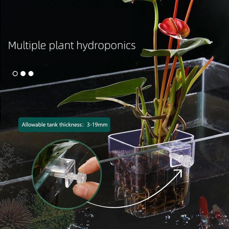 1 шт., корзина для аквариумных – обзор и цена Aquarium Planted Seeds