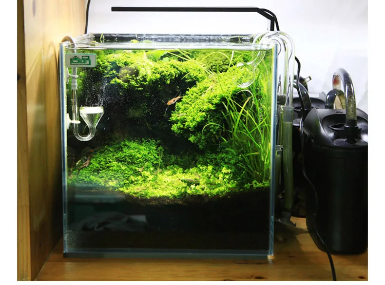 Chihiros C серии ADA стиль для – обзор и цена Planted Aquarium Ada