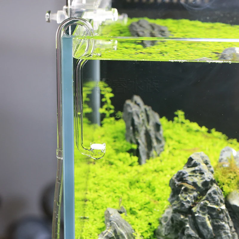 Система VIV BETTER LIFE CO2, д – обзор и цена Planted Aquarium Ada