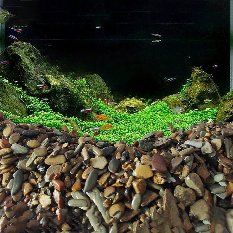 Природный грунт для аквариума  – обзор и цена Aquarium Planted Sand