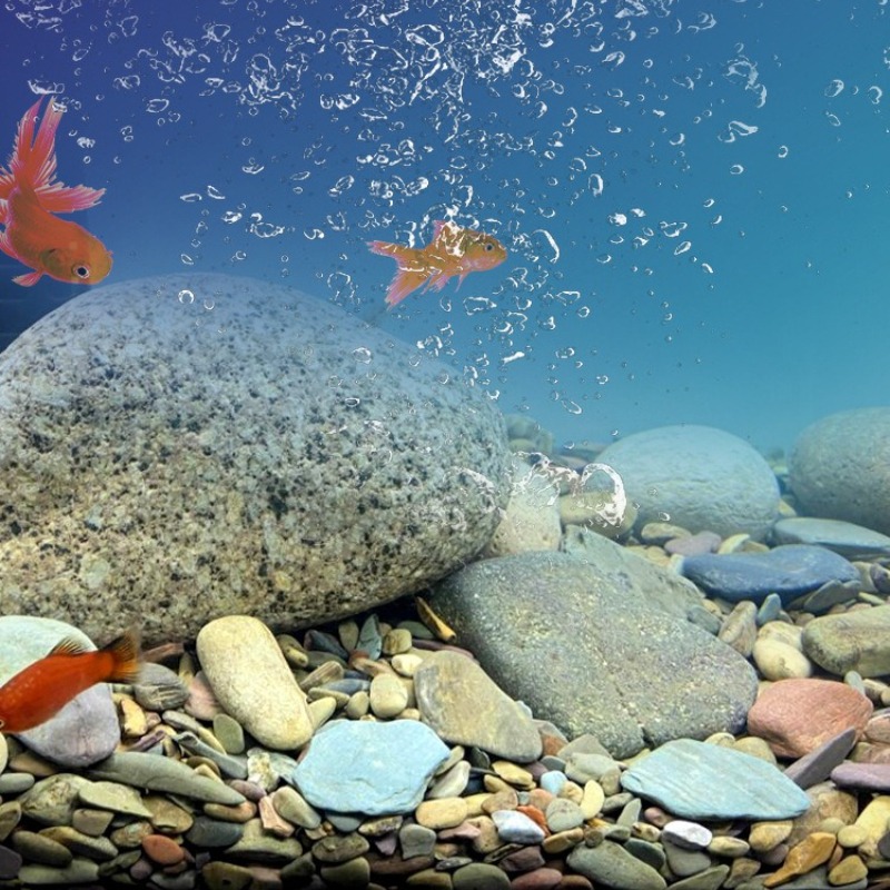 Природный грунт для аквариума  – обзор и цена Aquarium Planted Sand