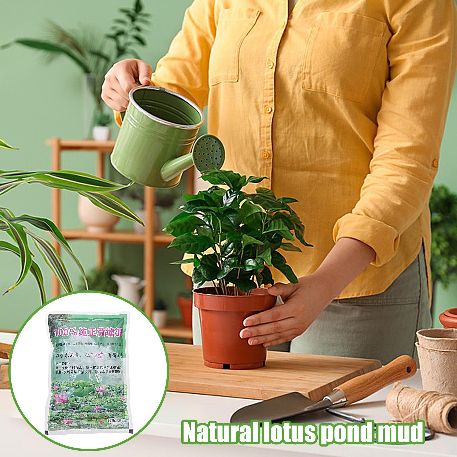 200 г/упаковка. Натуральный гр – обзор и цена Aquarium Planted Seeds
