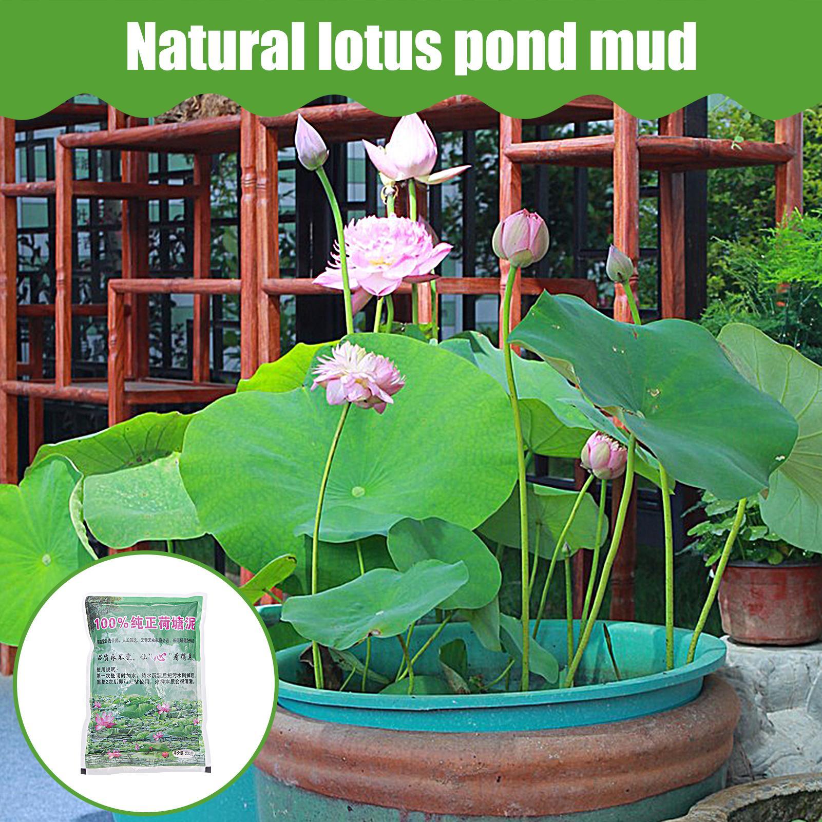 200 г/упаковка. Натуральный гр – обзор и цена Aquarium Planted Seeds