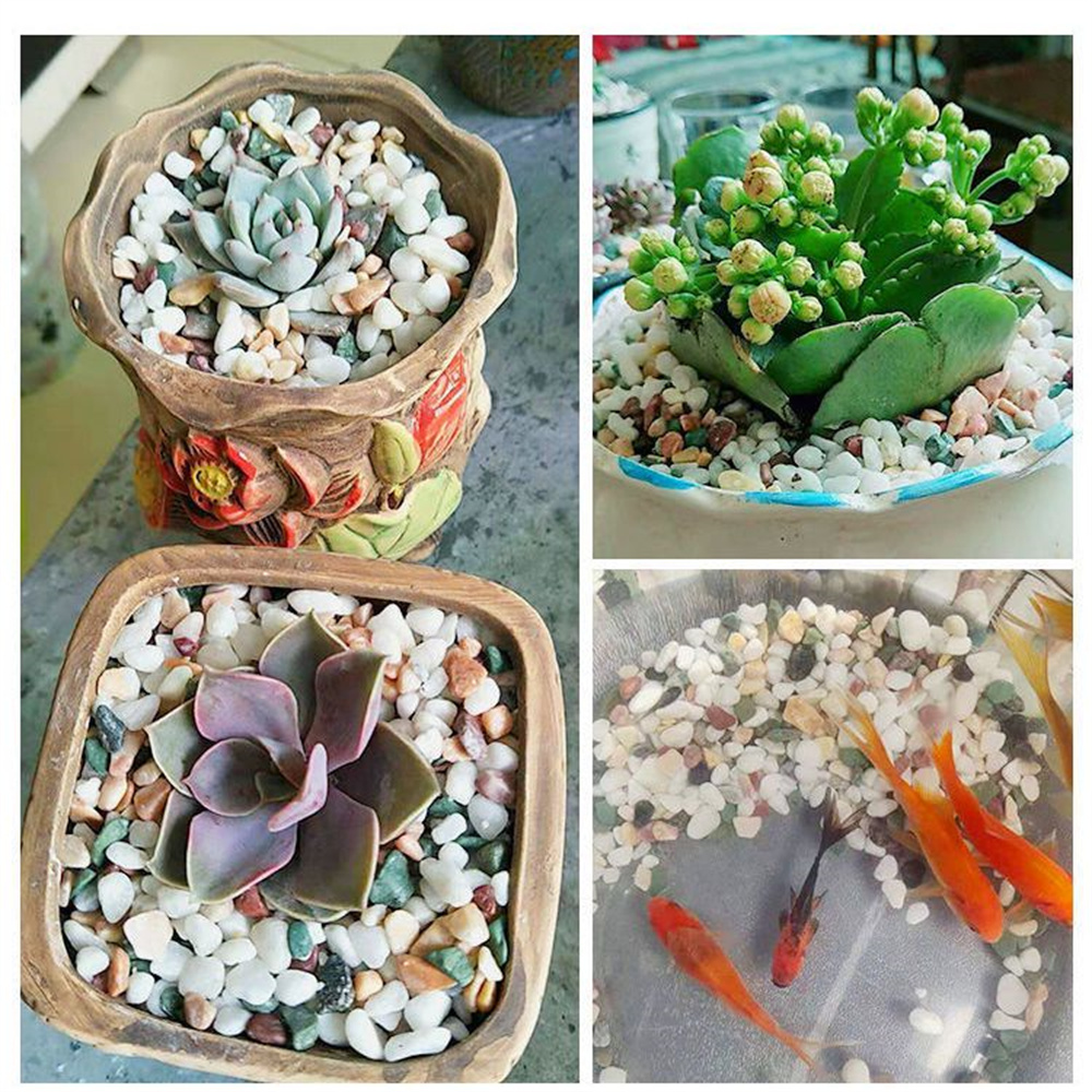 100 г натуральных кристаллов-г – обзор и цена Aquarium Planted Sand
