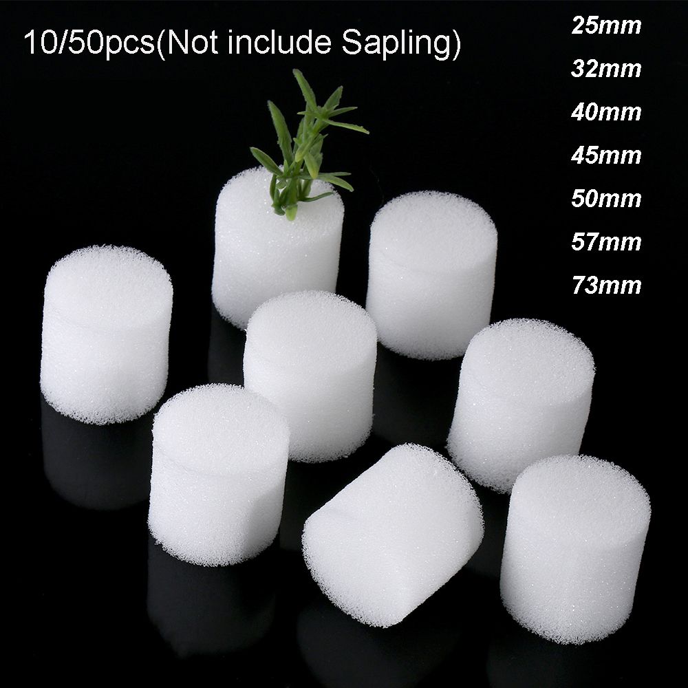 10/50 шт., губки для выращиван – обзор и цена Aquarium Planted Seeds
