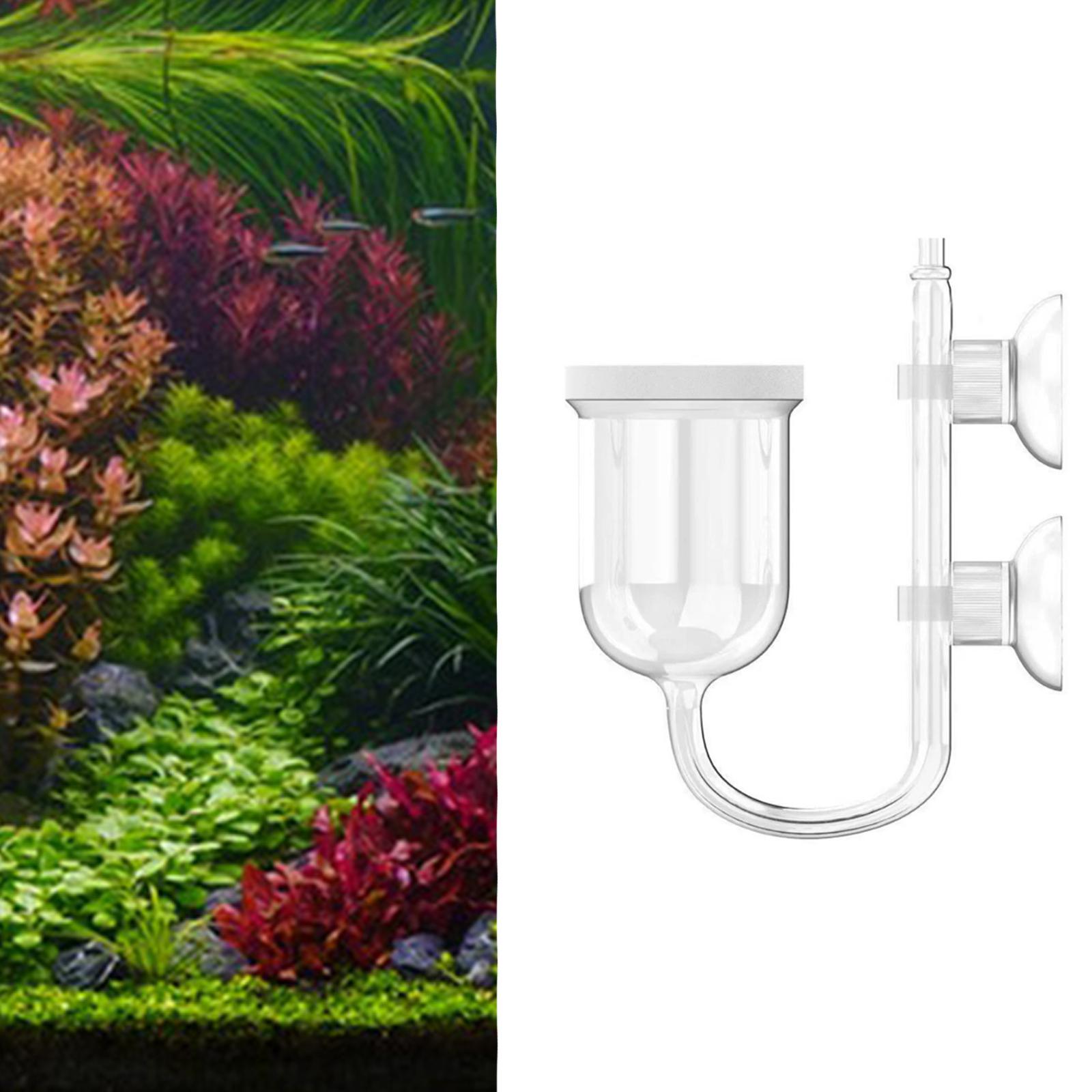 Стеклянный диффузор CO2 прозра – обзор и цена Planted Aquarium Co2 System
