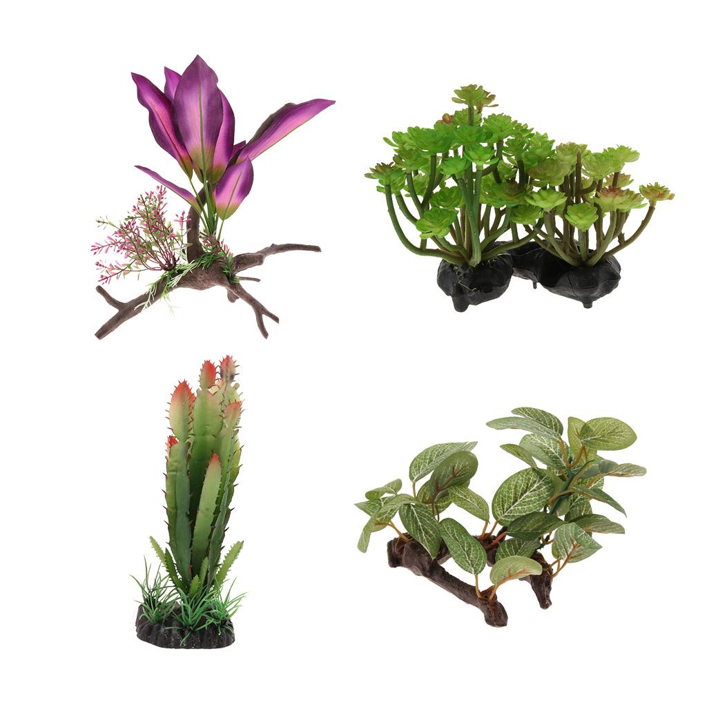 Тропические растения из ротанг – обзор и цена Aquarium Planted