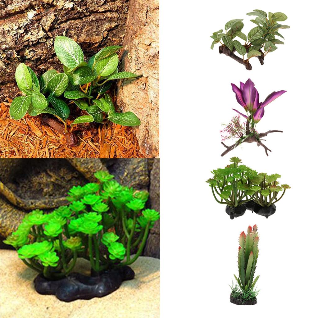 Тропические растения из ротанг – обзор и цена Aquarium Planted