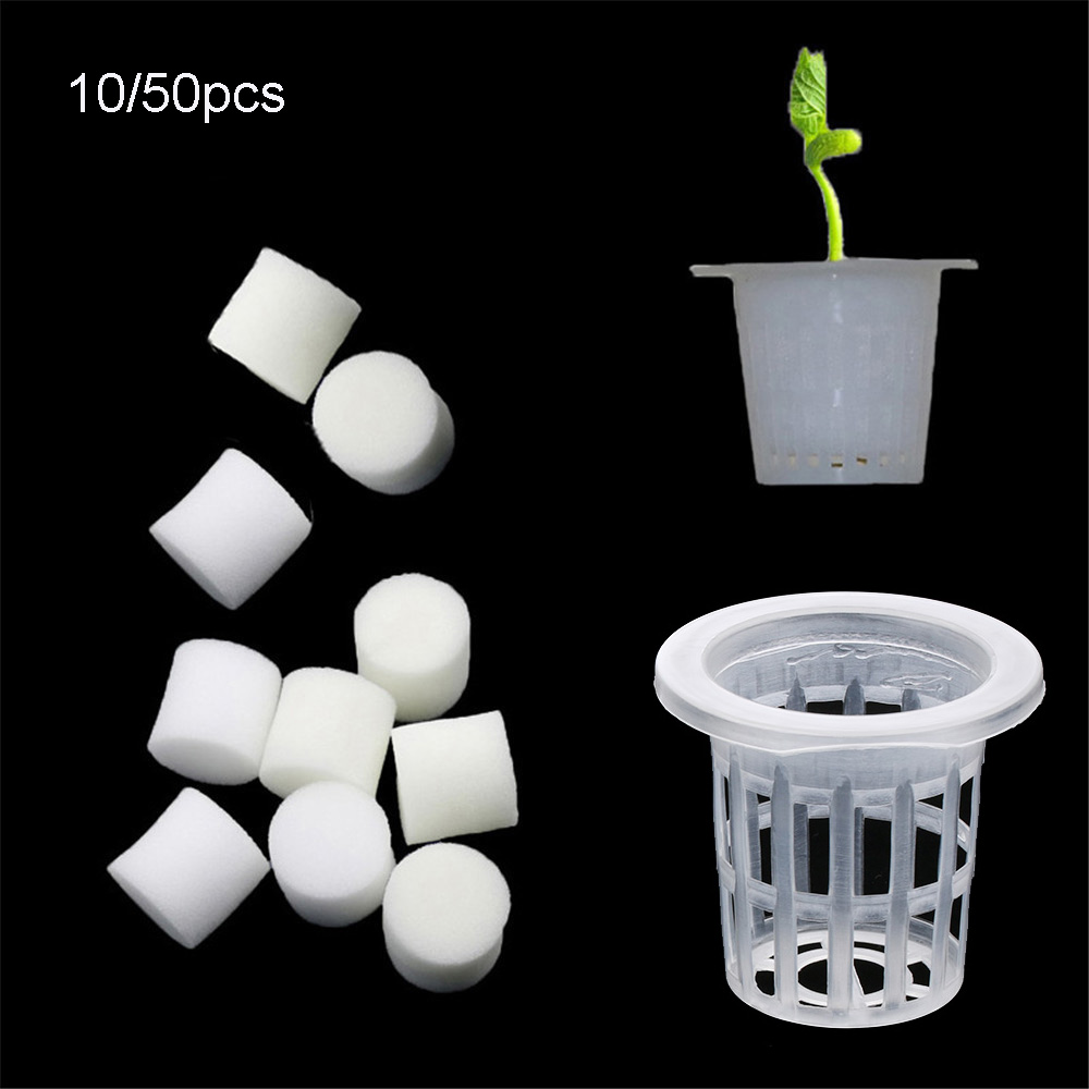 10/50 шт. прочные посадочные а – обзор и цена Aquarium Planted Seeds
